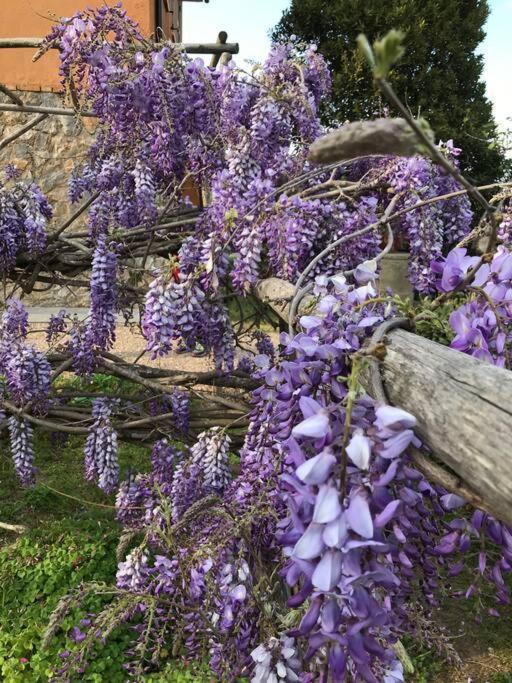 Agriturismo Il Sorbino - Appartamento Da Cocca Pian d'Alma Extérieur photo