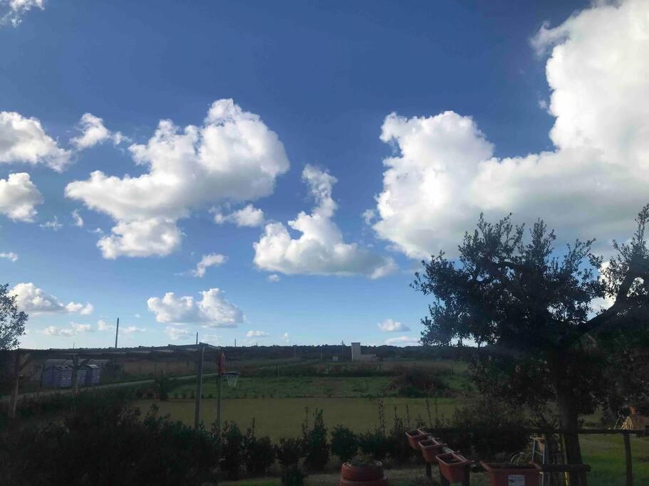 Agriturismo Il Sorbino - Appartamento Da Cocca Pian d'Alma Extérieur photo