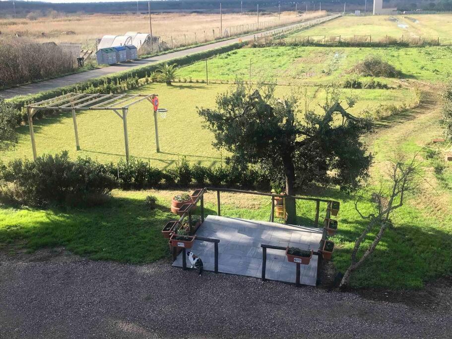 Agriturismo Il Sorbino - Appartamento Da Cocca Pian d'Alma Extérieur photo